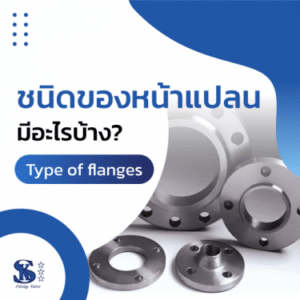 Type of flanges cover